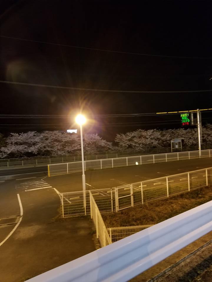わっぱ蛸 スーパーセンターオークワ御所店