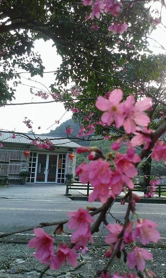 宜蘭樸食泰雅美食小館