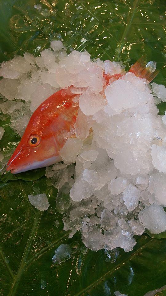 暖暖陞活海產