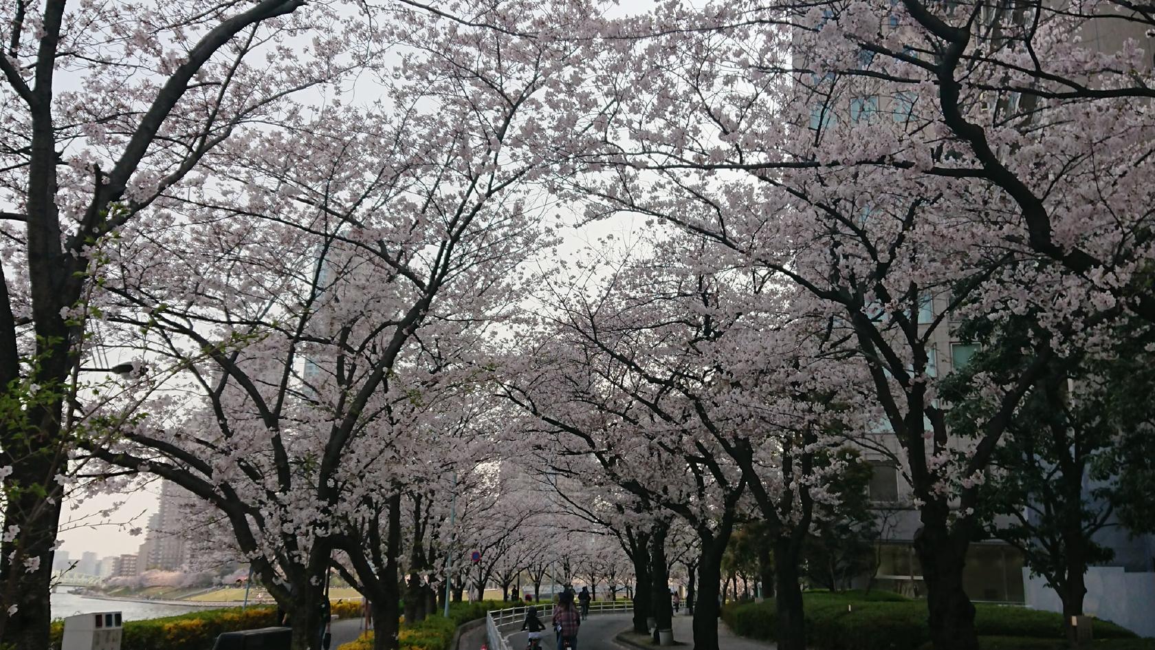 新川