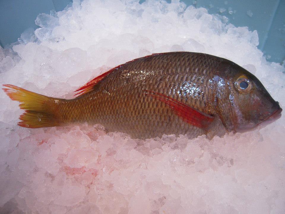 吉村屋生魚片專賣店