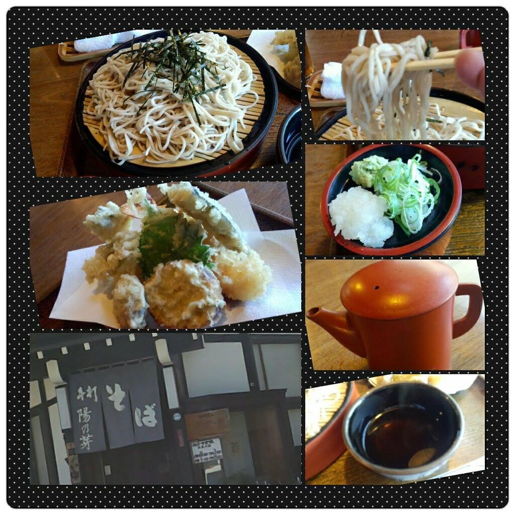 陽の来