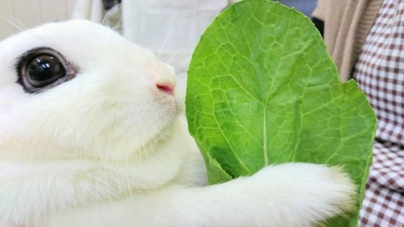 ネトマル 池袋西口店