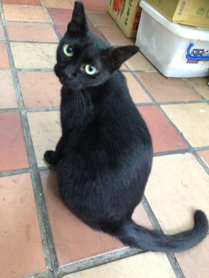林園冰果店