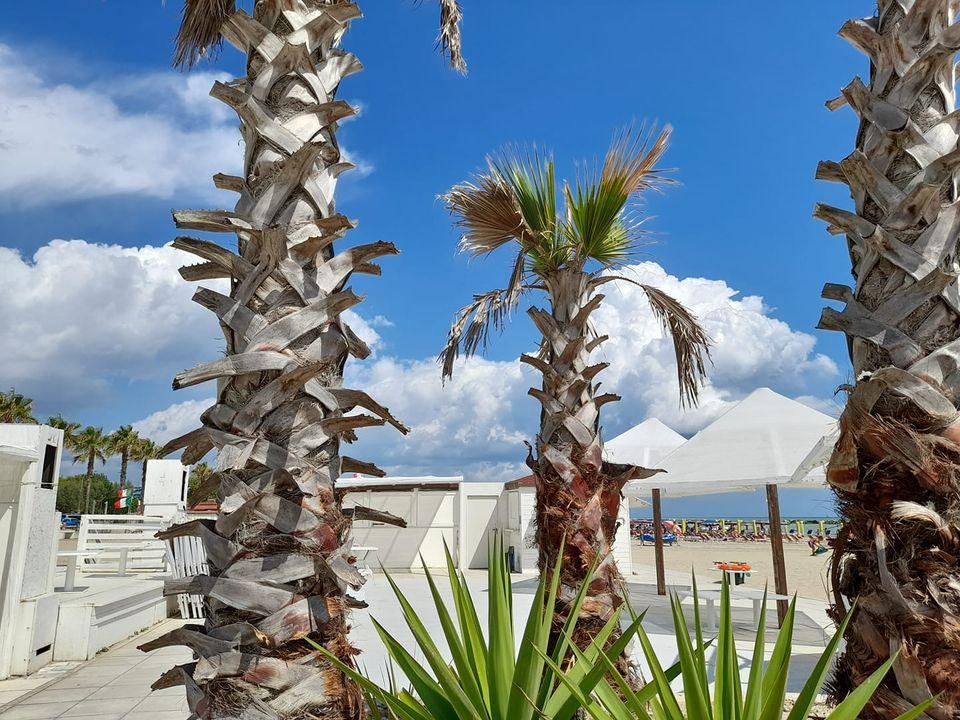 Hotel Lido
