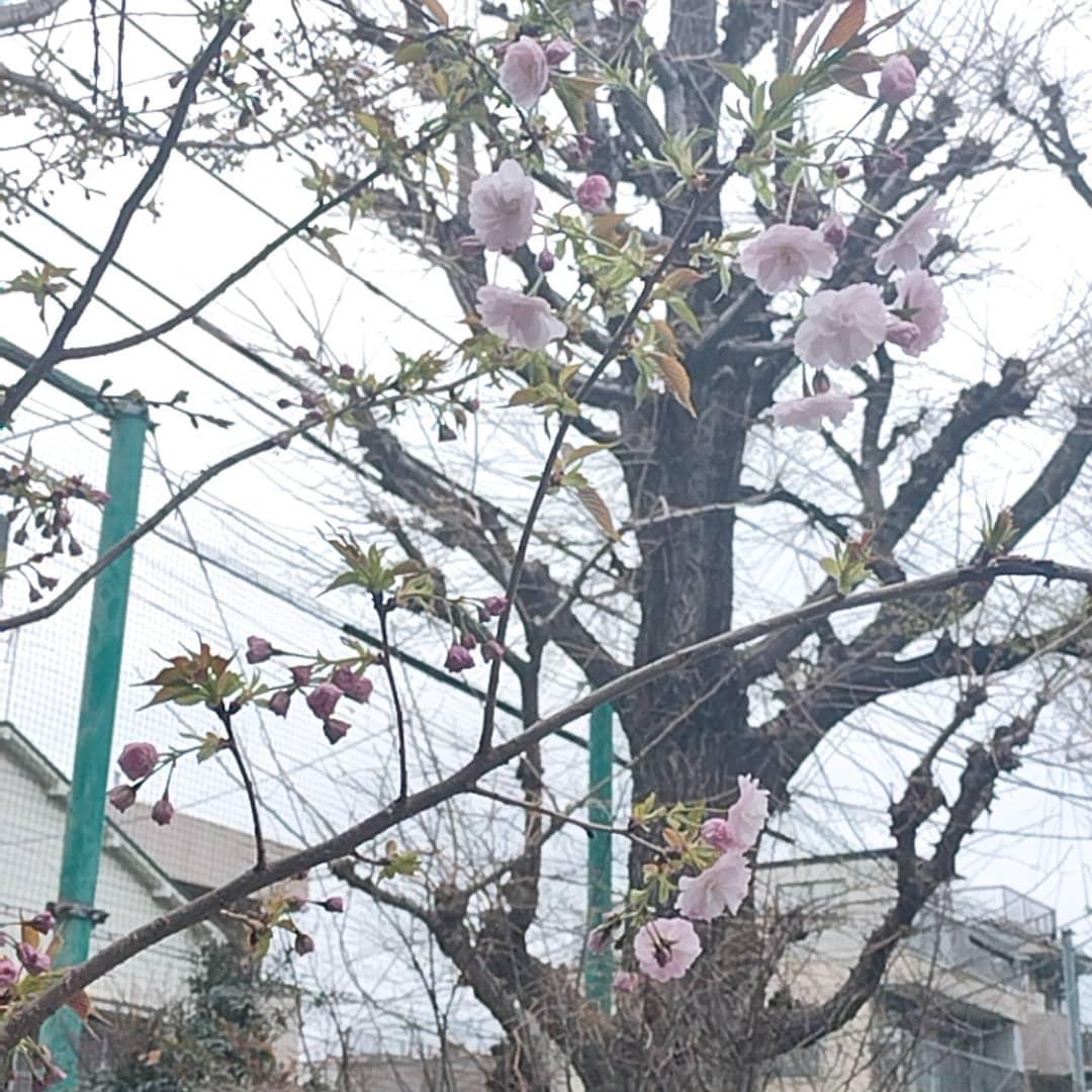 北京 早稲田店