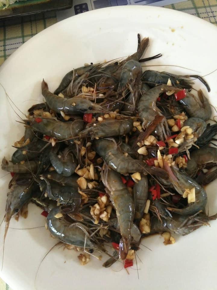 漁鱻生