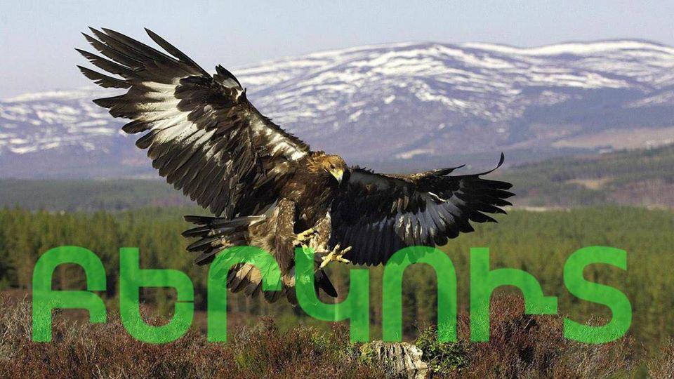 Ռեստորան «Բերկուտ»