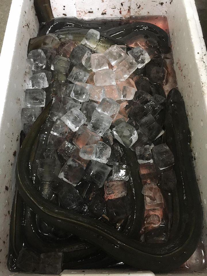 和処「庄もと」弁当宅配