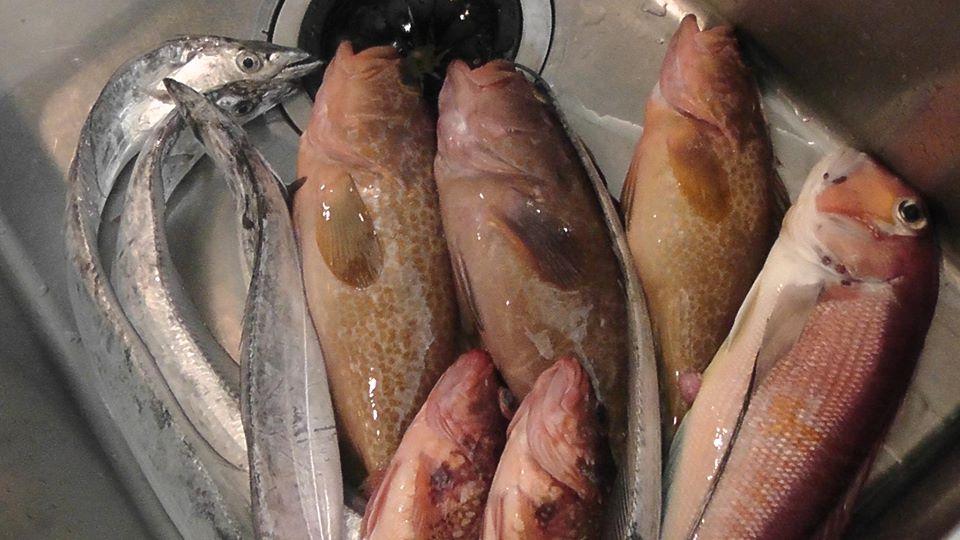 イタリア料理　イルグラーノ