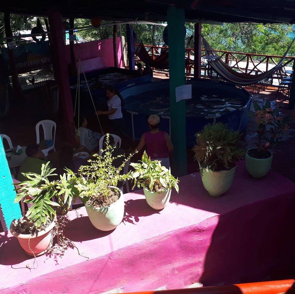 Restaurante: Montes Verde