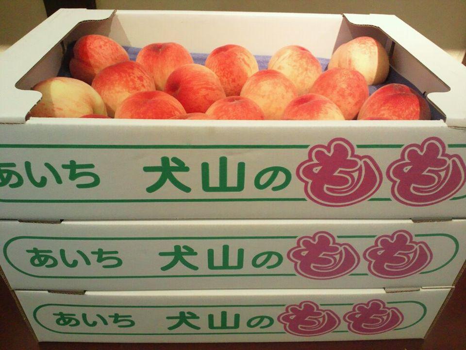 アベイユ・エス