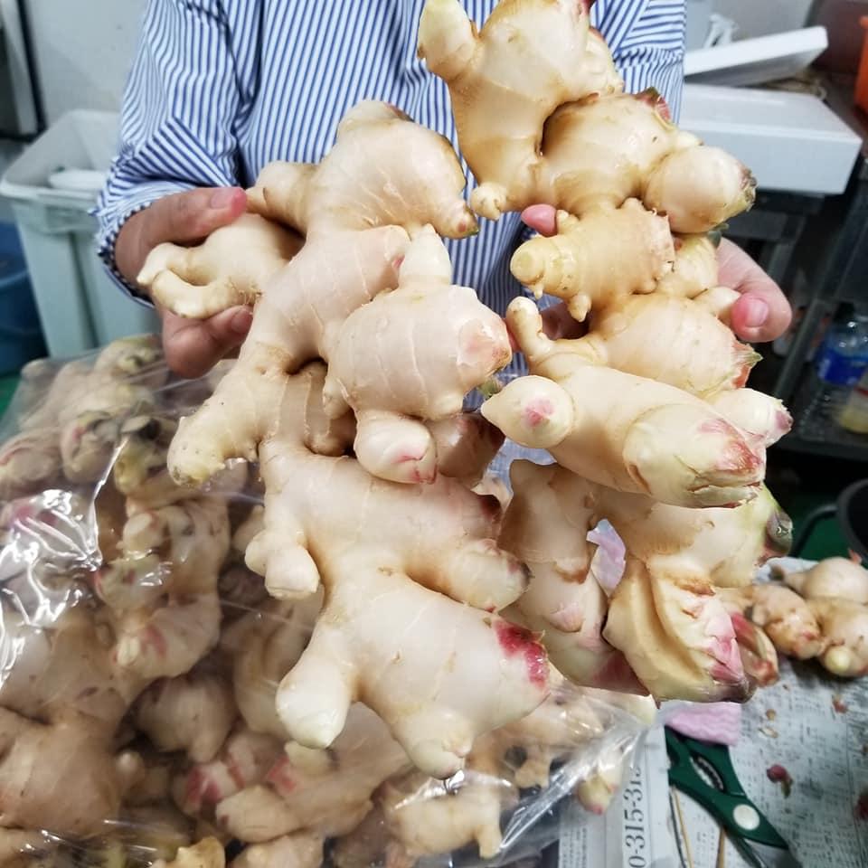 榮樂寿司