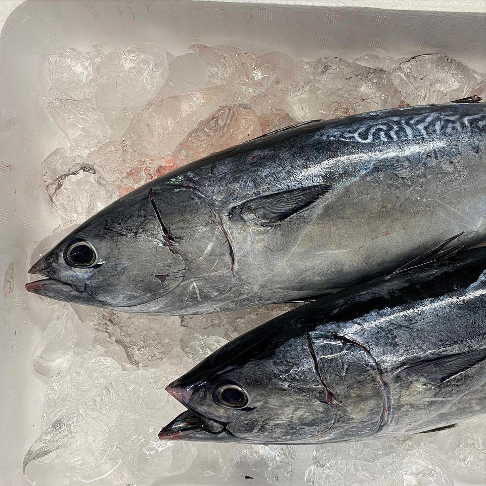 浜料理 うおすき