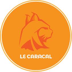Le Caracal