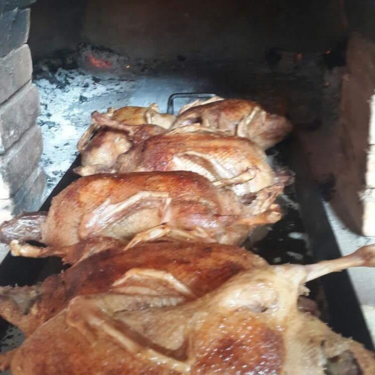 El Escondite del Pato chapaco