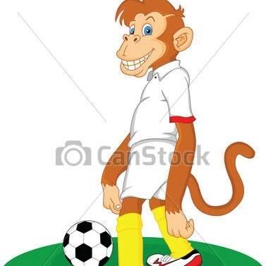 Campeonato Don Tino