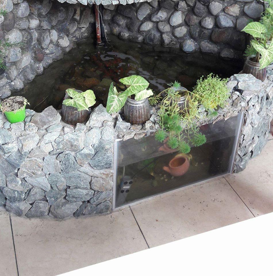 Restaurante Y Marisqueria La Cascada 1