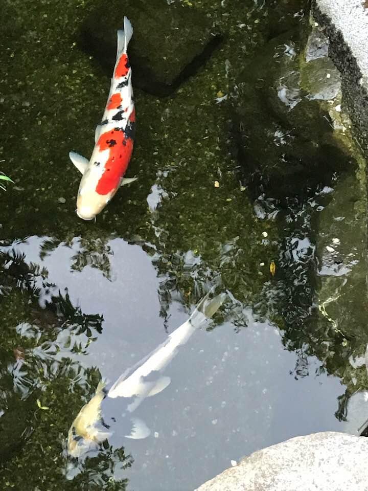 大船