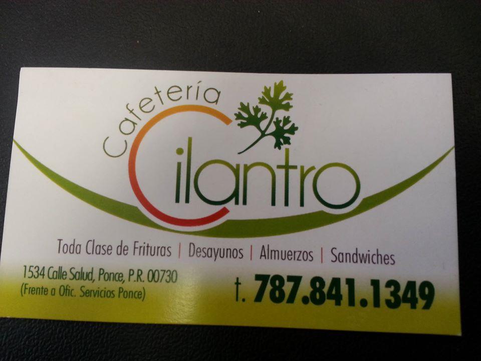 El Cilantro