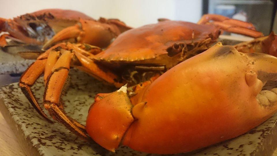河豚の173巷