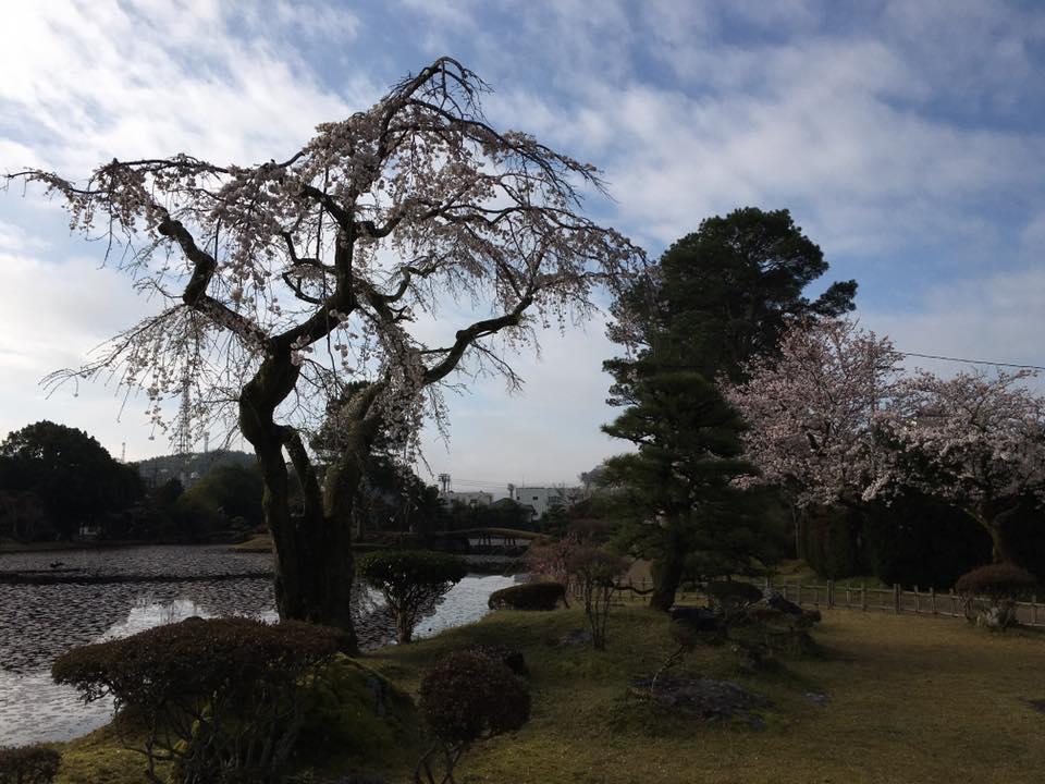 京御門
