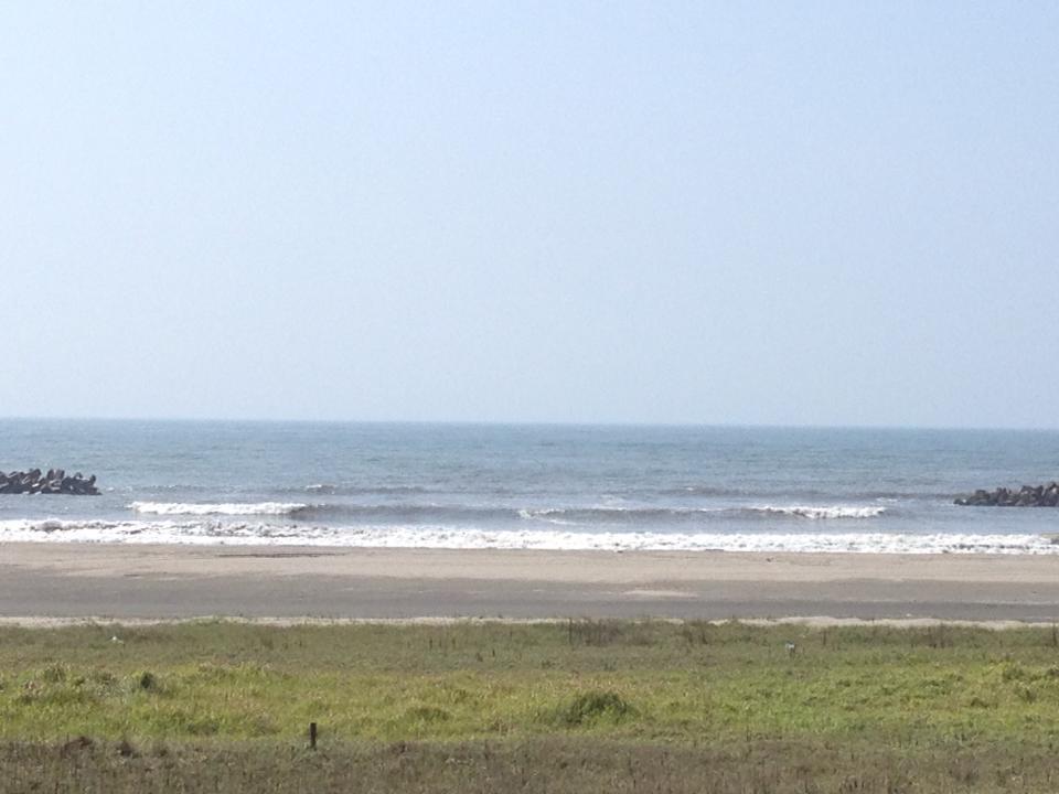 Surf Lodge Cafe