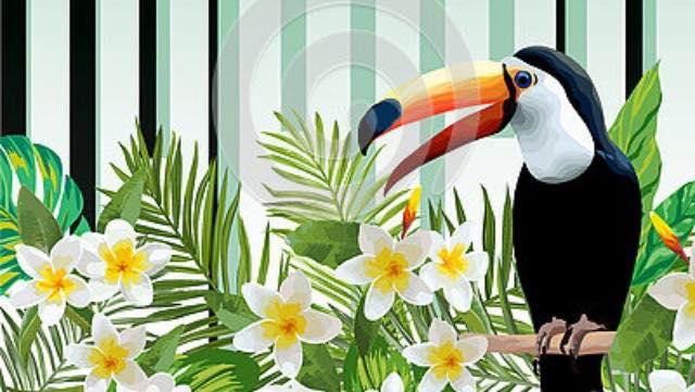 Mexican Toucan.