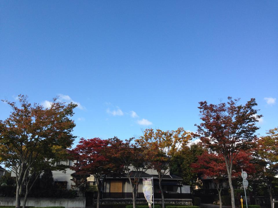 オーパンジンク