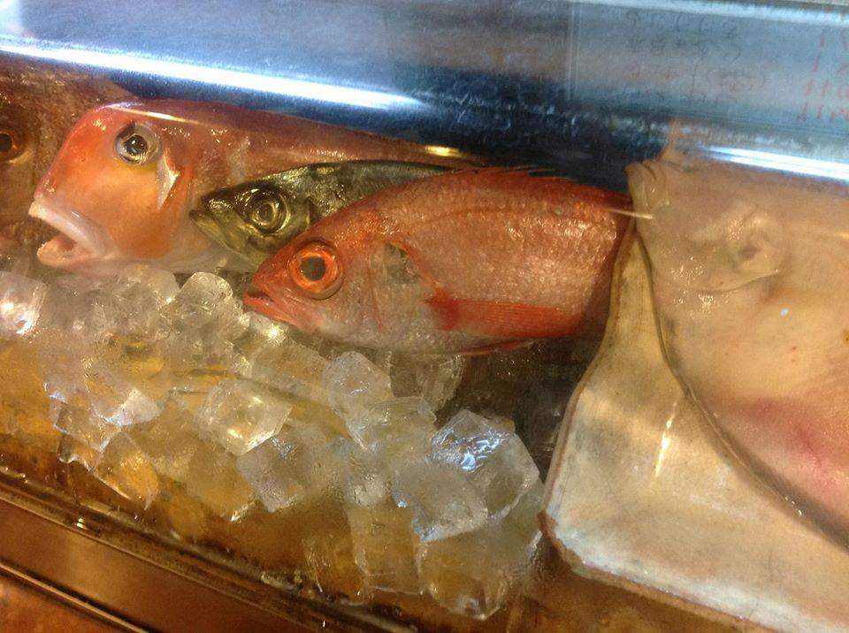 だいしん城陽店