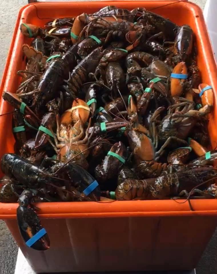 貴族世家沙鹿店