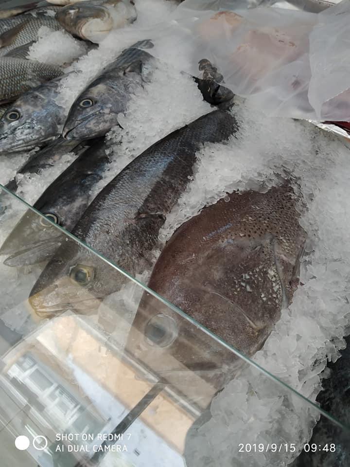 أسماك الموسم ل ماكولات بحريه في مسقط Muscat