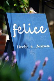 Ｌ' herbe felice