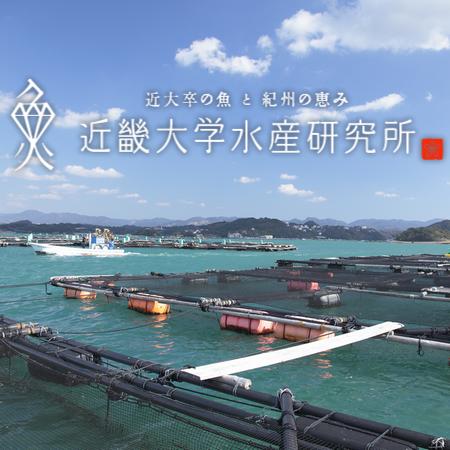 近大卒の魚と紀州の恵み 近畿大学水産研究所 銀座店