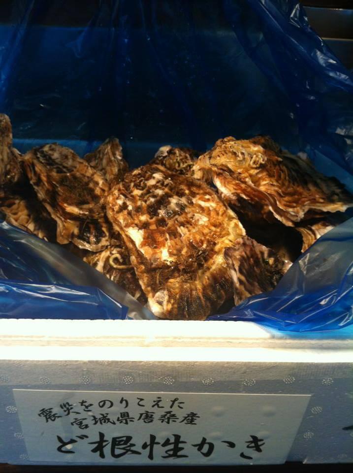 魚介酒場北町商店産直牡蠣と鮮魚のカルパッチョ