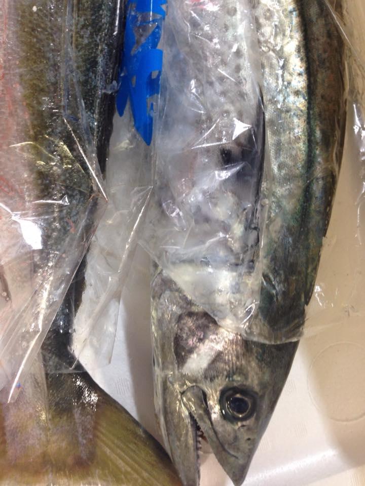 大衆魚貝酒場 金魚