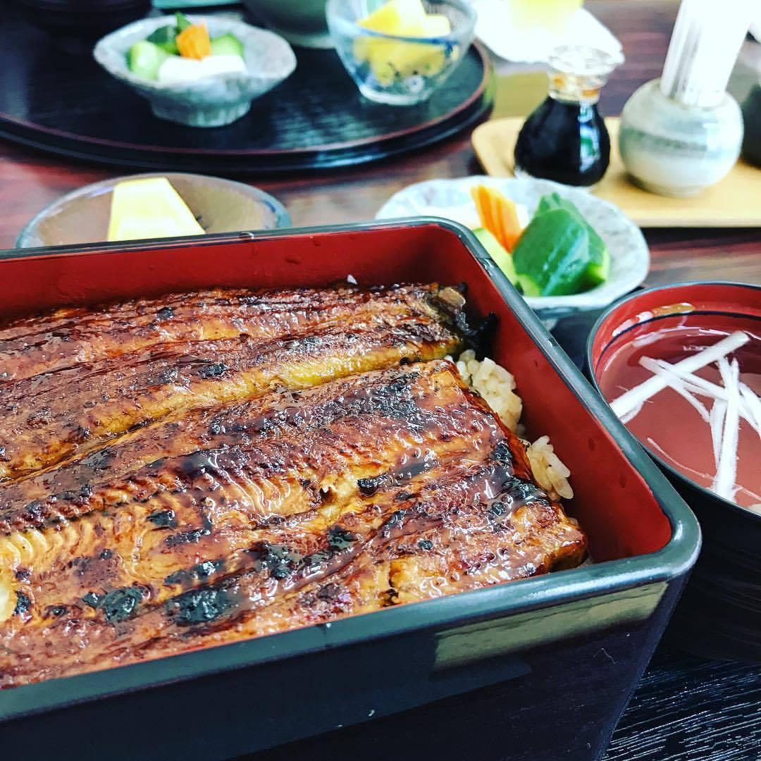 うなぎのさいた