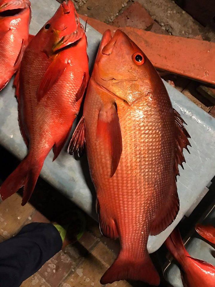 鱻魚湯