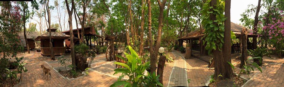 แมกไม้ สายตรี