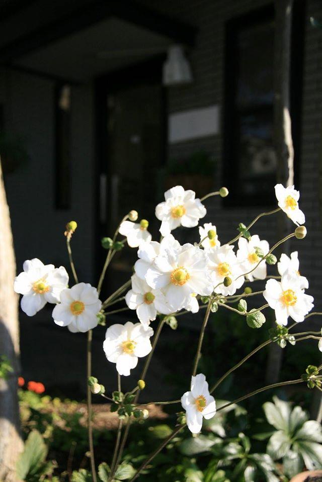 Creek's Café（クリークスカフェ）