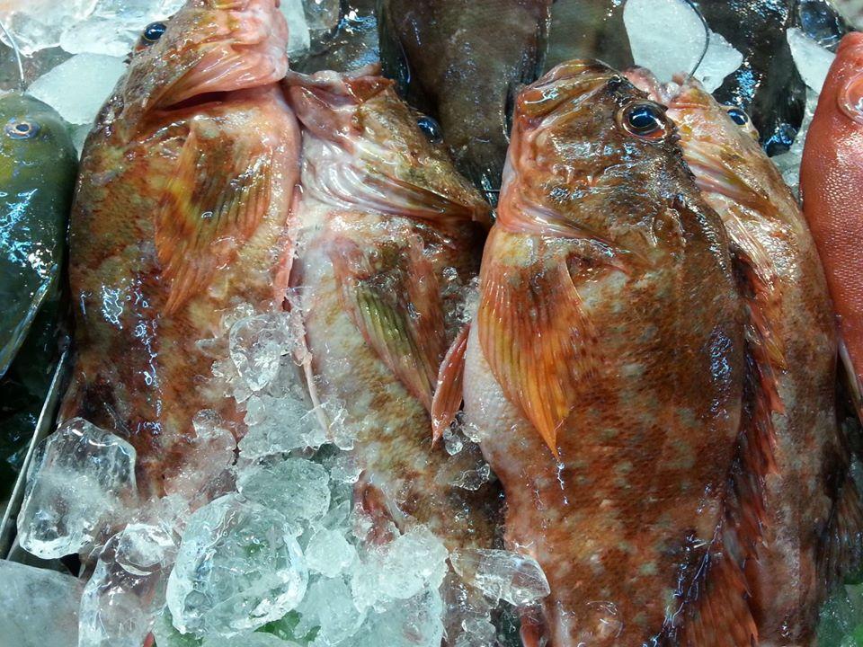 寶之鮮海產