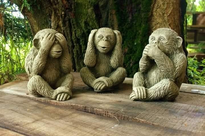 3びきのこぶた