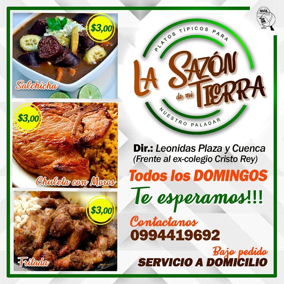 La Sazon De Mi Tierra