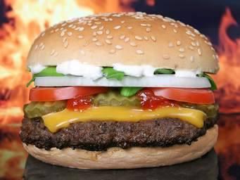 Delicious Burgers
