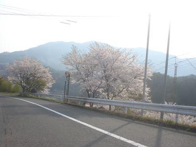 お好み焼き・山菜 つくしの