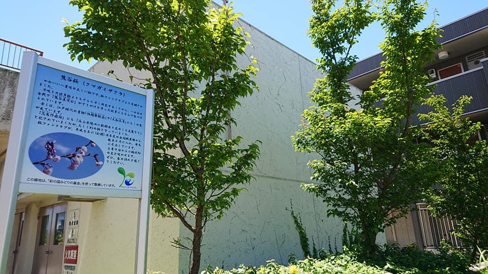 六兵衛そば店