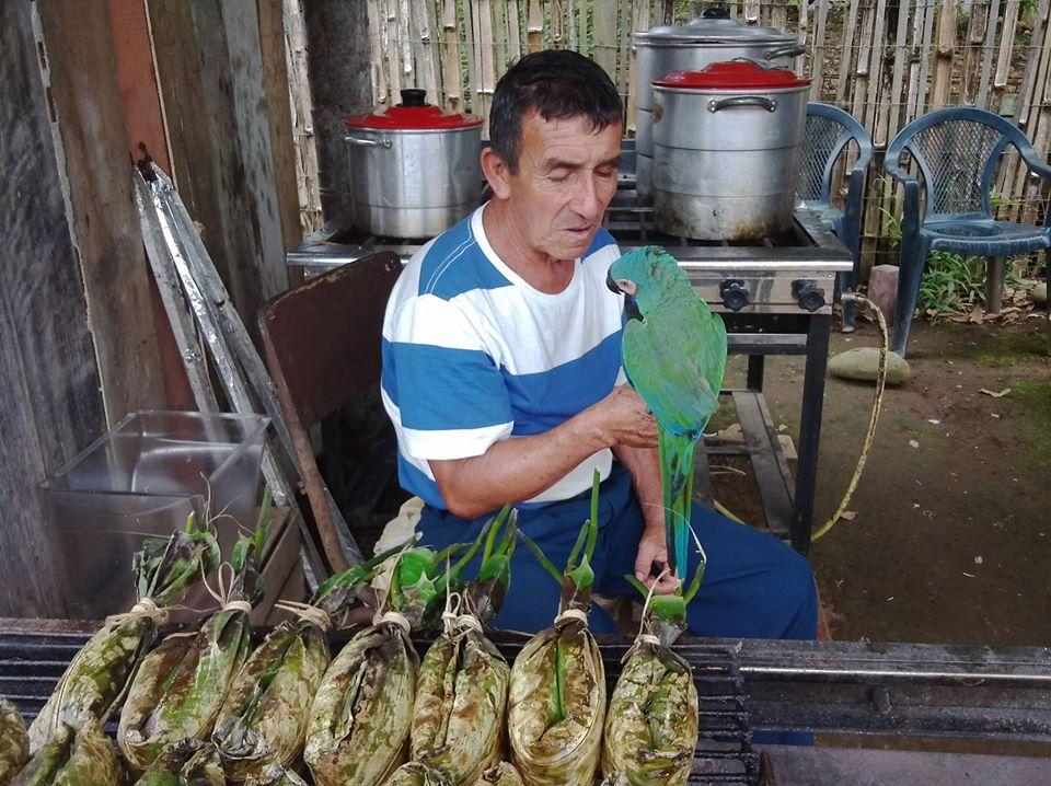 La Rolaquimba