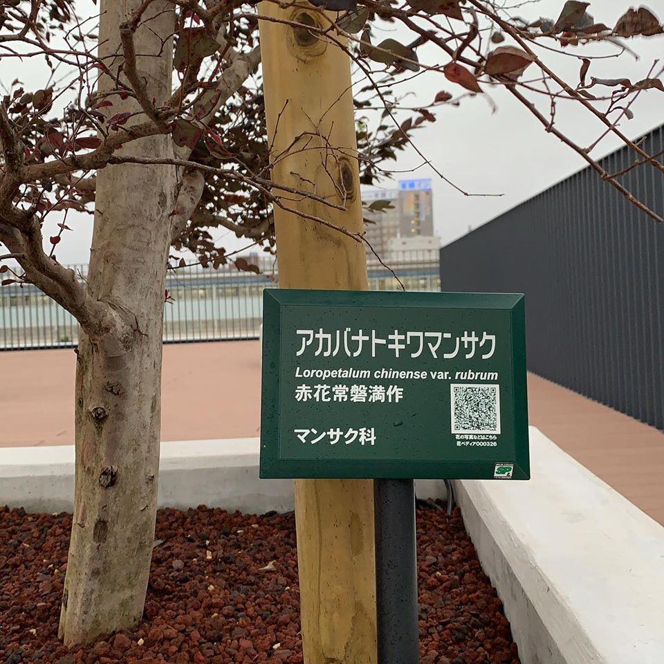 bird bar