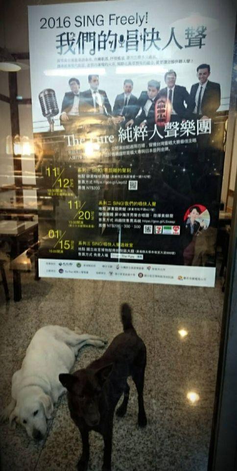 腸大爺