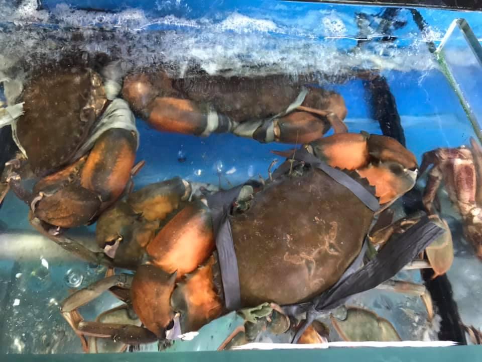 醉船長 日式海鮮餐廳